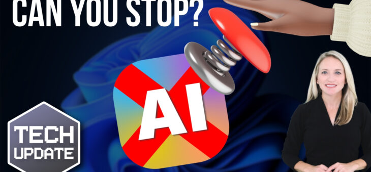 How would you stop AI in an emergency?